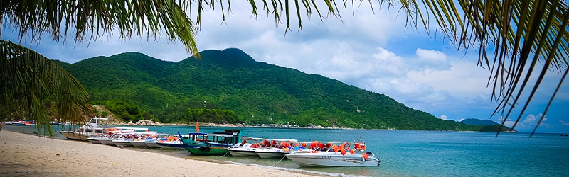 Tour Khám Phá Biển Đảo Cù Lao Chàm 1 ngày từ Đà Nẵng